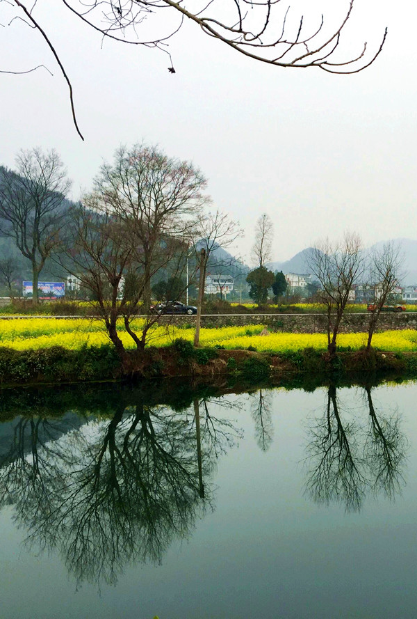 Preview Image 1