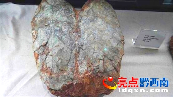 Preview Image 1