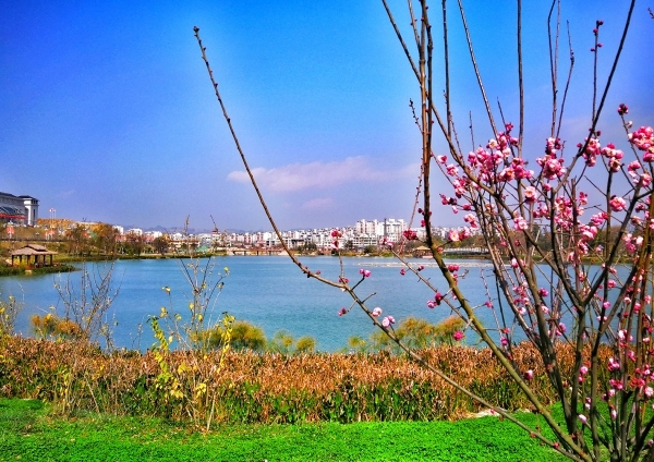 ��һ����ˮ�����е��l�� ǭ����������������