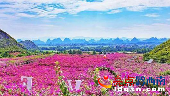 8��9�գ��d�x���f�����f�@ʽ�����_��