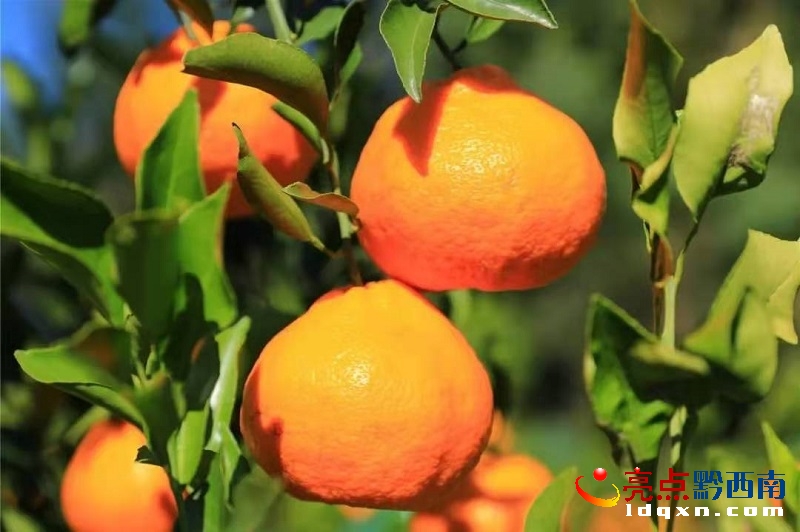�d�x�О�ɳ�(zh��n)������ٮ����r(n��ng)�̳�������