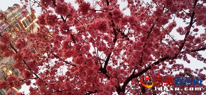 ÷�_�������d�x�˹������ѻ��ٴξ`��