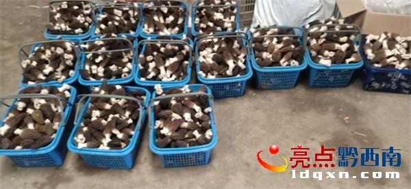 �d�x��̫����������Ǿ��ڴ������g�����r������