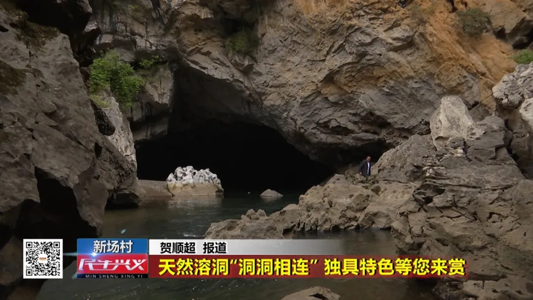 �d�x���壺��Ȼ�ܶ����������B�� ������ɫ�������p