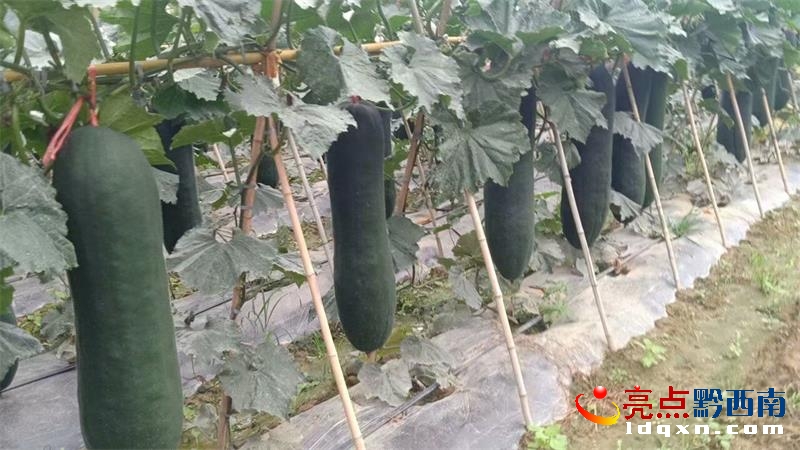 �d�x�а���G���Ʉ�60�����ϴ��S��