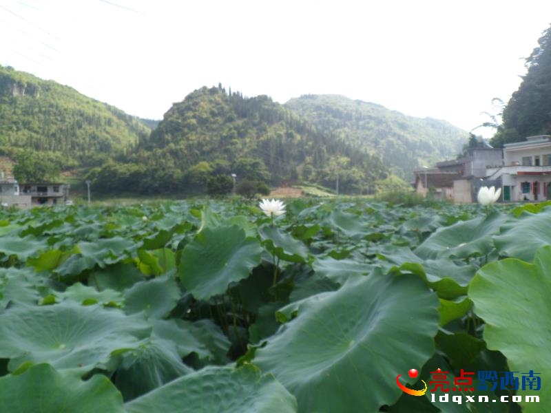 �x���^(q��)��ˮ�Ӵ�210���ɻ��L������