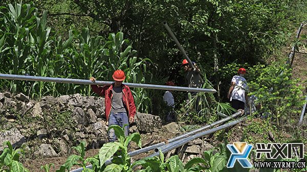 �d�x����է�(zh��n)���l(xi��ng)һ�w����ˮ�����������M