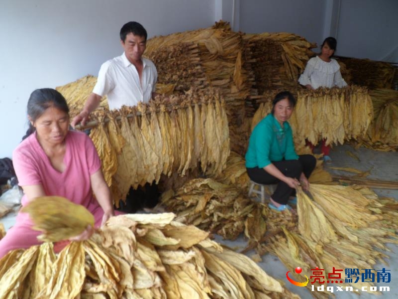 ǭ�����ݺ濾24.7�f�����S���~�� �A(y��)Ӌ���r(n��ng)����9�|Ԫ