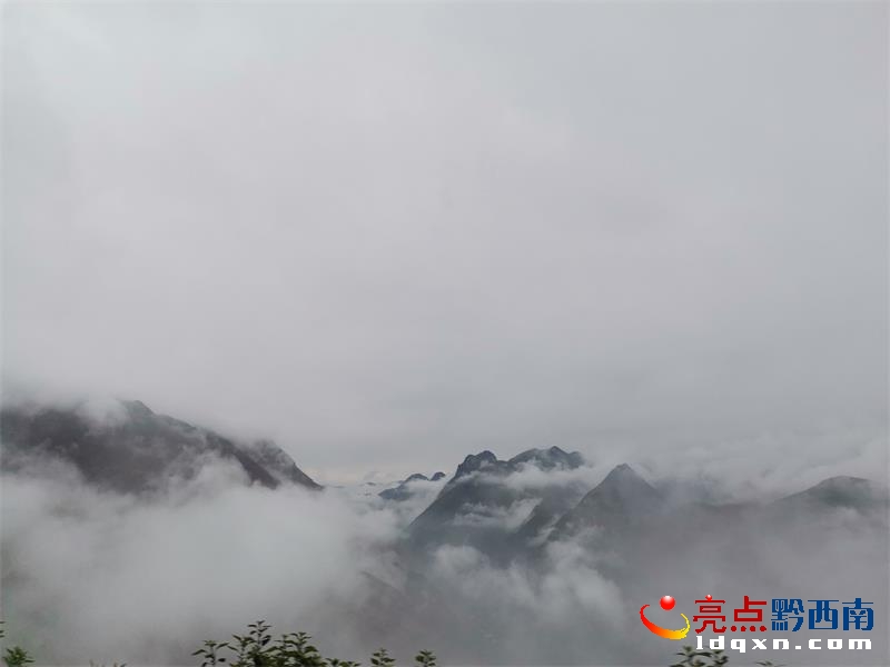 ǭ���ϴ��F������һ�ܰl��43�l���F�A�� ����2�l�tɫ�A��