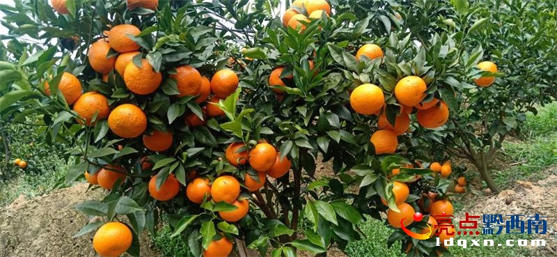 �����h�f�������Ҝϰ��஀�ָ��S��