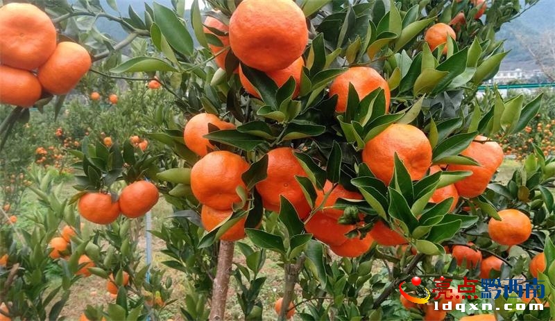 �d�x����t�ۡ�ͨ�^�y���_��