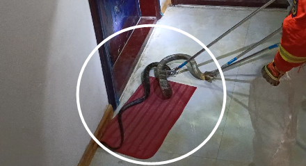 ǭ����һ������У��@�F4���L������֮�͡���