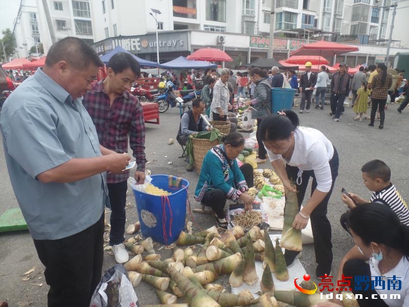 �x���^���P�1100����S�����r�������N��