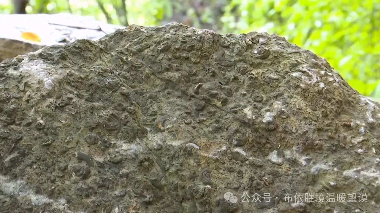 ��փ�l�F2.51�|��ǰ�Ĺ����ﻯʯȺ