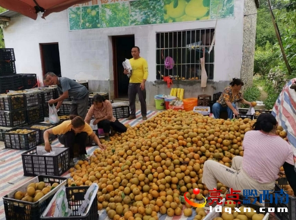 �x���^(q��)�f���(zh��n)���S�壺 �A�S������ ���r(n��ng)������