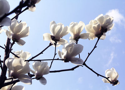 �d�x�����Ļ��@�İ����m���_��