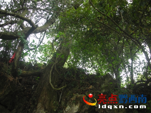 QQ�؈D20120417170415.jpg