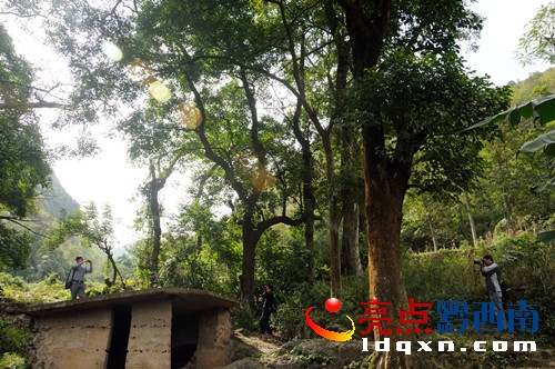 �D����T���ڹ�����߲��岼��ɽկ���R�^��ȡ���裨ꐁ��֣�.JPG