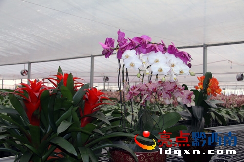 �D������(n��i)���G�Ļ���.jpg