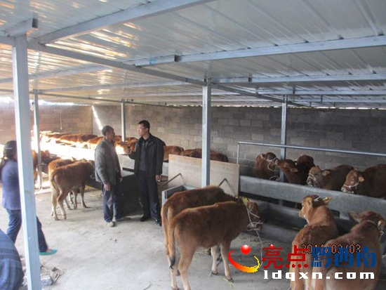 �D�龴�������ί��ӛ����Bֳ��ꐑ��_�������I��������ָ��.jpg