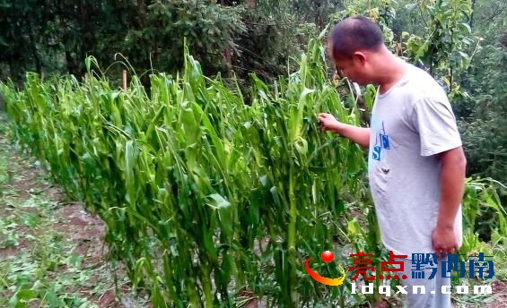 QQ�؈D20160520145712.jpg