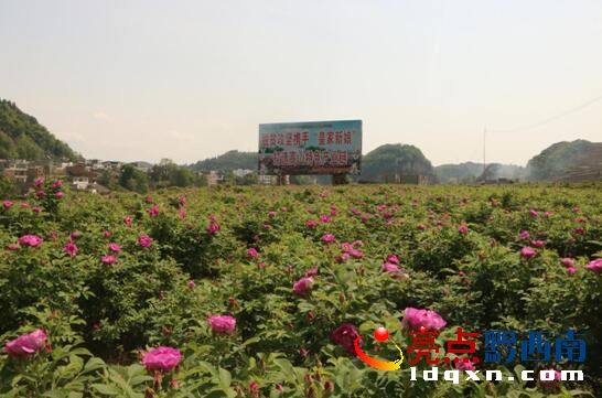 QQ�؈D20170420154313.jpg