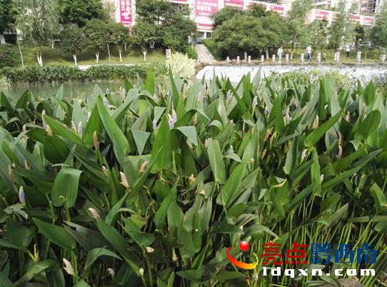 QQ�؈D20170623105810.jpg