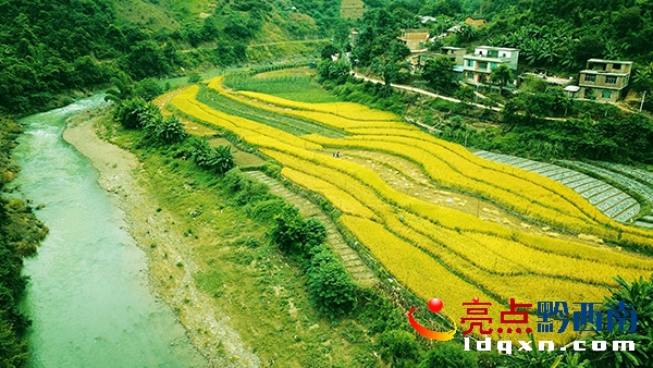 DJI_0073_����.jpg