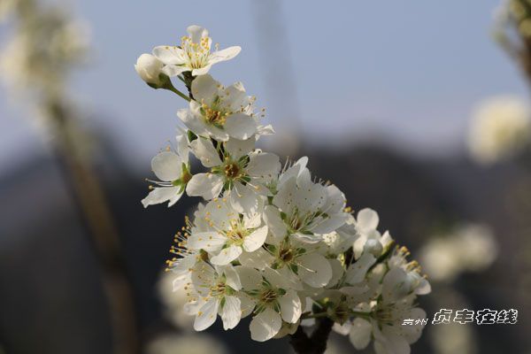 ؑ�S��ʮ�f(w��n)�����(j��ng)��`�� ��һ���n���L(f��ng)����