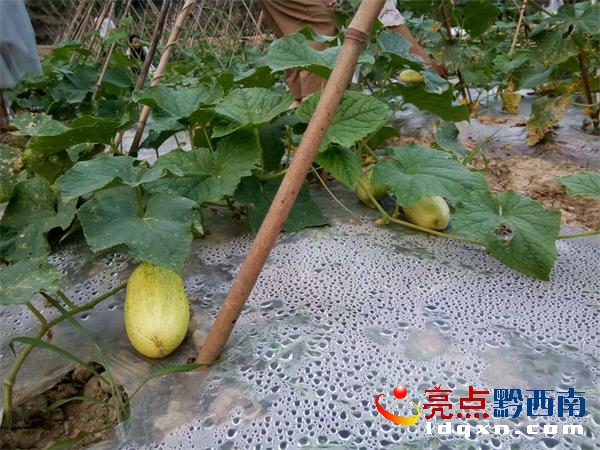 QQ�DƬ20180520234305.jpg