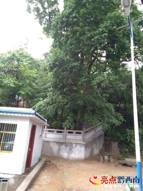 Preview Image 1