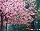 ����ϼ���箋 �d�x�˹����p���ѻ��پ�