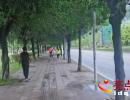 �d�x�З�ϼ·ǧ�׾Gɫ�L�Ⱥ���ˬ(�D)